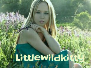 littlewildkitty Wanna Meet