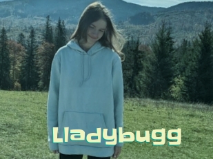 Lladybugg
