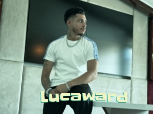 lucaward Wanna Meet