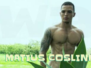 MATIUS_COSLINK