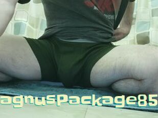 MagnusPackage85