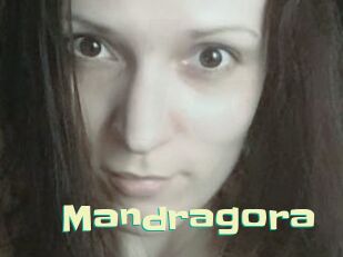 Mandragora Wanna Meet