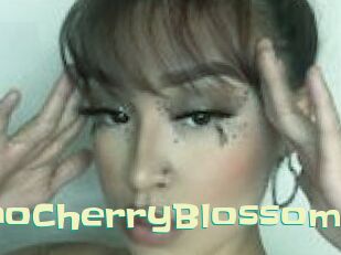 MaraschinoCherryBlossom