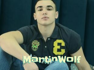 MartinWolf