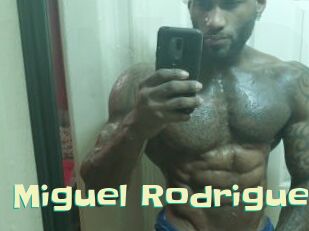Miguel_Rodriguez