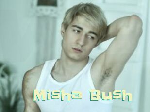 Misha_Bush