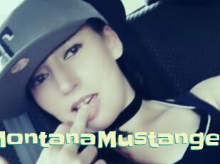 MontanaMustange Wanna Meet