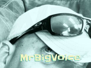 MrBigVoice