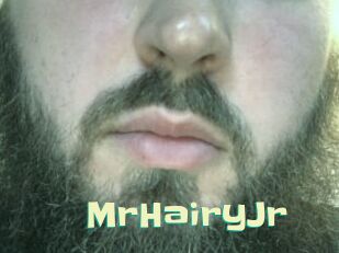 MrHairyJr