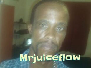 Mrjuiceflow