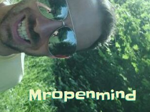 Mropenmind Wanna Meet
