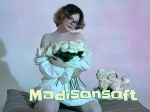 Madisonsoft