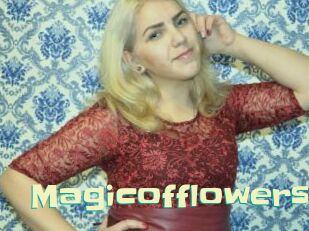 magicofflowers Wanna Meet