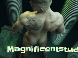 magnificentstud Wanna Meet