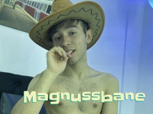 Magnussbane
