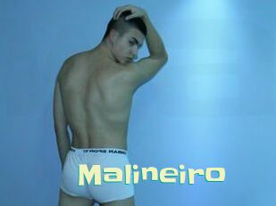 Malineiro
