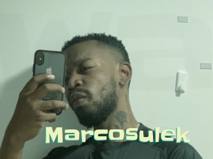 marcosulek Wanna Meet