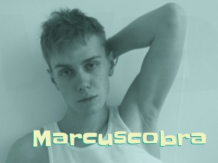 Marcuscobra