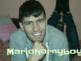 Mariohornyboy
