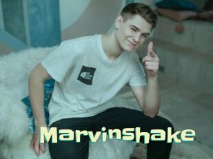 Marvinshake