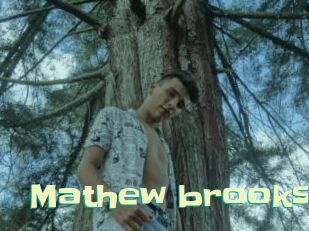 Mathew_brooks