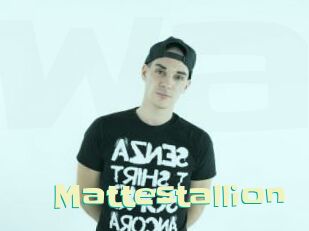 Mattestallion
