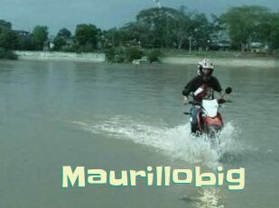 Maurillobig