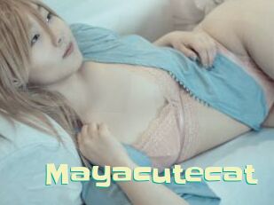 Mayacutecat