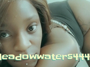 Meadowwaters444