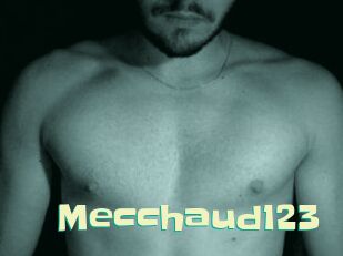 Mecchaud123