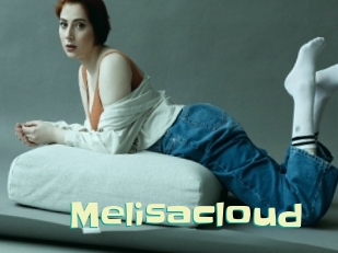 Melisacloud