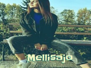 Mellisajo