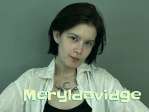 Meryldavidge