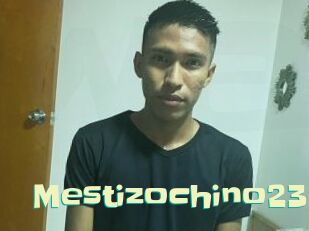 Mestizochino23