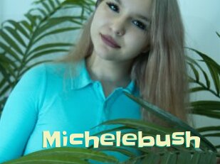 Michelebush
