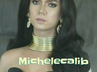 Michelecalib
