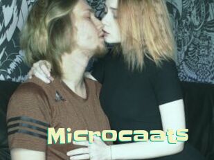 microcaats Wanna Meet