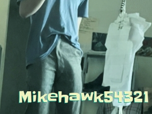 Mikehawk54321