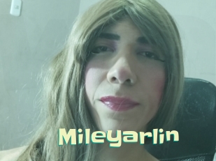 mileyarlin Wanna Meet