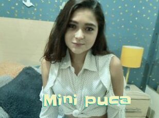 Mini_puca