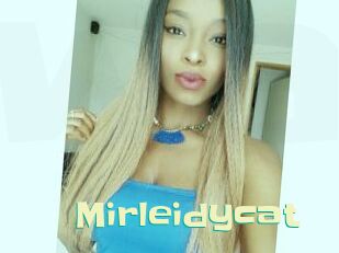 Mirleidycat