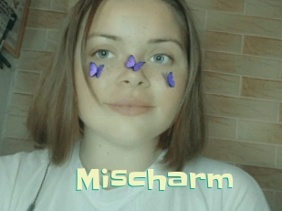 Mischarm