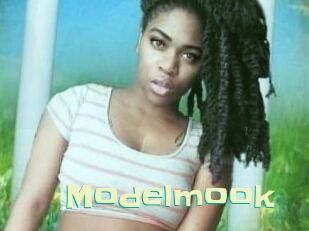 Modelmook