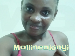 Mollineakinyi