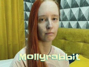 Mollyrabbit
