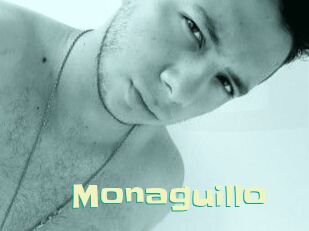 Monaguillo