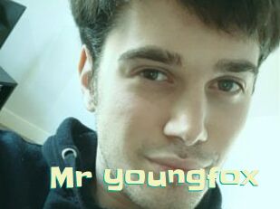Mr_youngfox