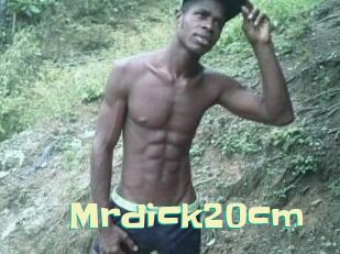 Mrdick20cm