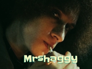 Mrshaggy