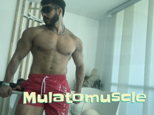 Mulatomuscle